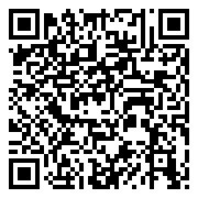口袋灵龙（数码科技刷充）